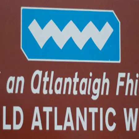 Ivy House Casa de Férias