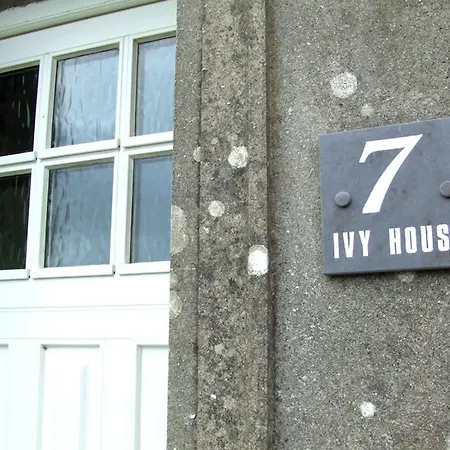 Ivy House Holiday Knights Town