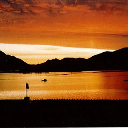 Ivy House Knights Town