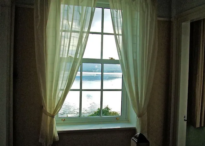 Ivy House Knights Town