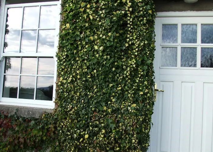 Dom wakacyjny Ivy House *