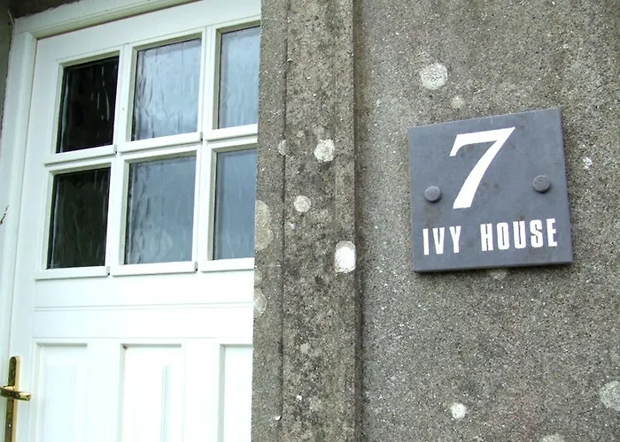 Ivy House Knights Town