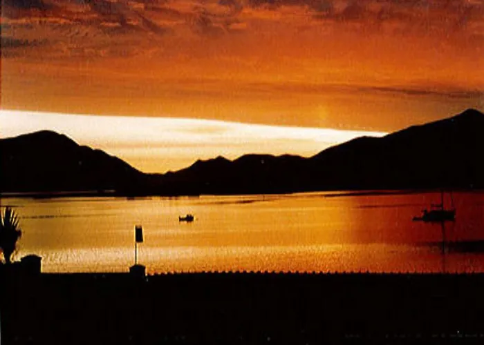 Ivy House Knights Town